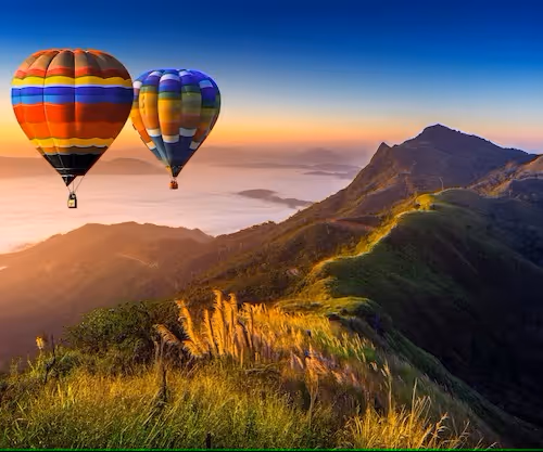 Untitled Collection #453111101