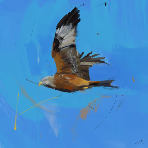 Item #23543467287037842108316550093189971084057125514794159077656868262179191652353 Media