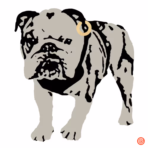 Item #1471147628704737889438767133014226167945868547252600766557675623679604555777 Media