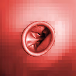 112443806312787433902540167291229144376569237612293574157816900169797661097985