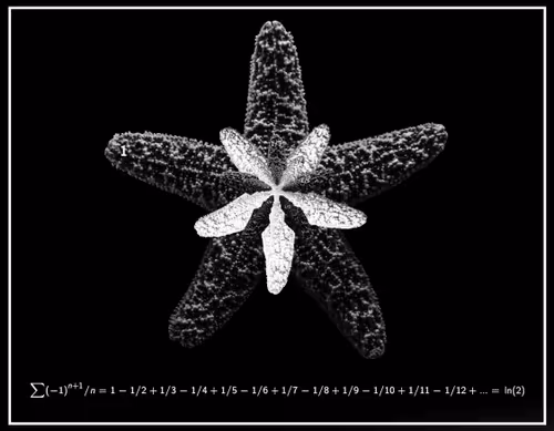 Item #97186150118851267967403234344013593073548206343623417452399557626863021981697 Media