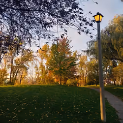 park