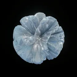 Eternal Rings - Crypto Flower