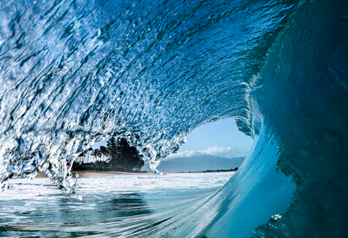 Item #19717472655541438358875111876949792254809295352552867053113992238263336697857 Media