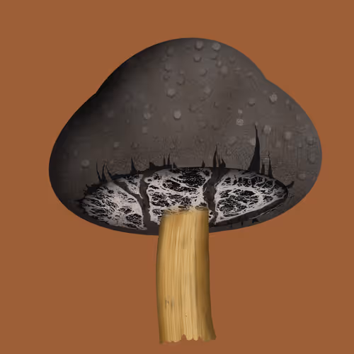 Item #46034849265832991985054005845495595569977159826723230396281256675073283063809 Media