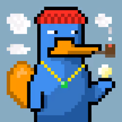 Platy Punk #2596