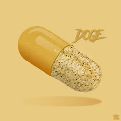 DOGE Capsule #1