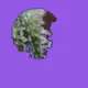 16959035941552924589589688881252258420747284358412547917260783136647290028033