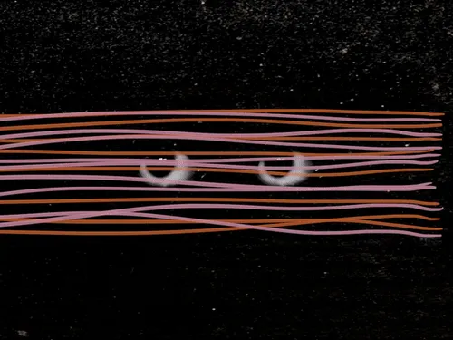 Item #54688137389352509344092767467911615879738143210533731435142059764399487320065 Media