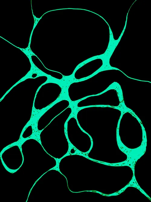 Item #60447415217477959408772772467770452871177809879771206339827648269283001106433 Media