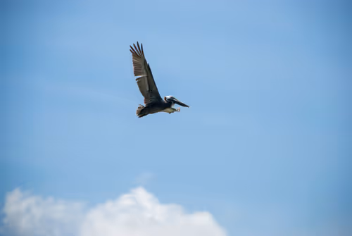 Item #59154946286010189732012368142144452370095057633127291979705499809219583410177 Media