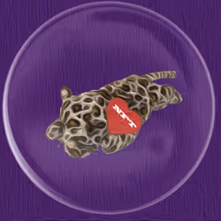 41776025324002017952572422073316458441069080831023694546850786348143292186625