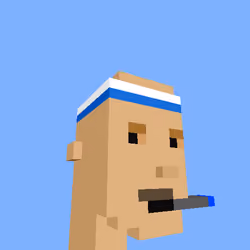 PunkVoxels #9199
