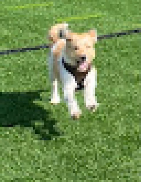 Item #108402645861453412713773156426599164189459262003047342665588242403340496928769 Media