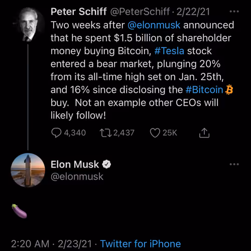 Elon tweets Peter Schiff