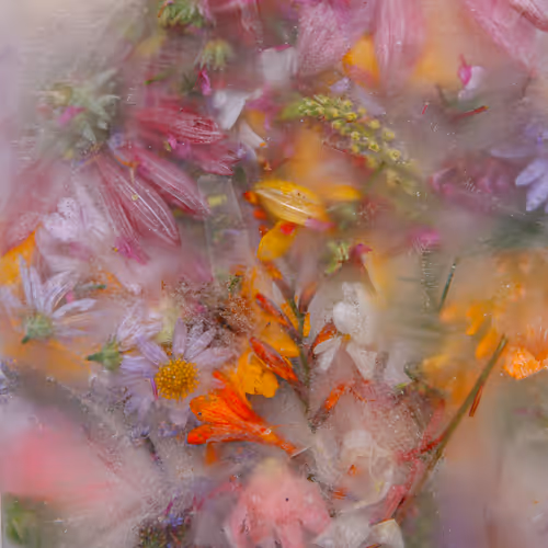 Item #80829721372825377784010953381890255518558028243098186913878117656395920703489 Media