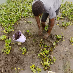 94540594873627566214253693638695074369245433436911139179040268788949718138881