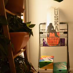 MUSKA™️ Skateboards Orange 🍊 Limited Drop Size 8.25 