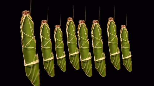 Item #16101337722085282298689115621610294664144615347996772178843194572567392288778 Media