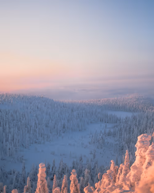 Item #85137439897558800446681939847979956921112818192745958846838338953461899460609 Media