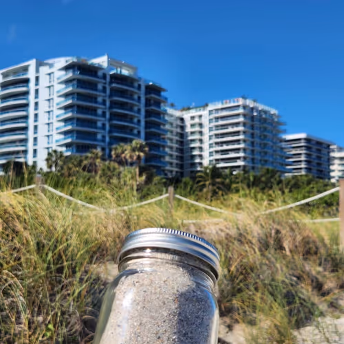 Papabirdd Collection