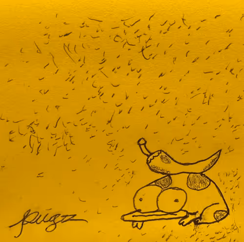 cryptoho3 Collection