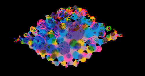 Item #82776758676944145224392687474896913717506445153708102807637183840086508175361 Media