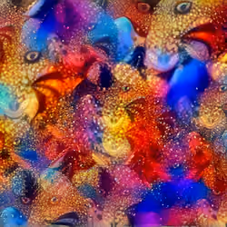 110608114293971105645586050929132613429958478930319026318221847243038595743745
