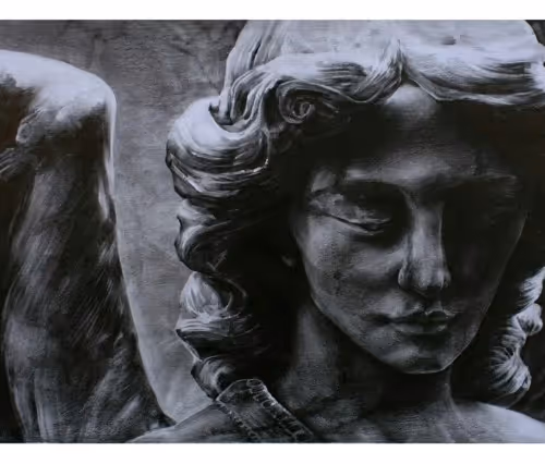 Untitled Collection #21409340