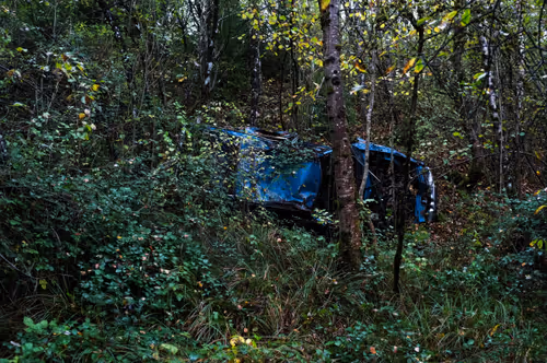 Item #88837150709499798352031986971363165703044907958800399059978422701832668184577 Media