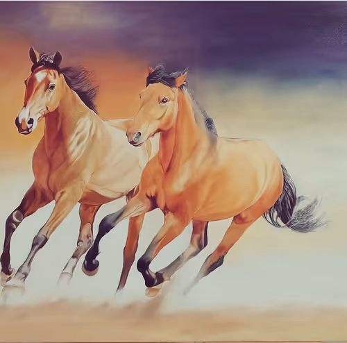 Item #56770119816642739473342556339518433199296907130769447430510033553216776437761 Media