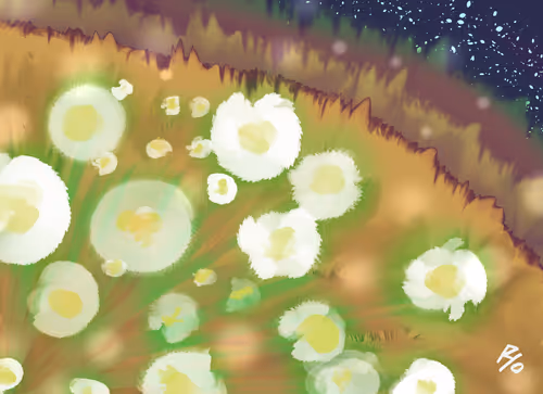 Item #107986202244797611994842812555409831908133510222977777464948986675372503334913 Media