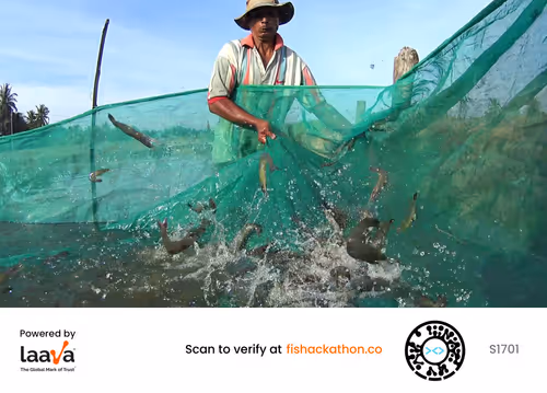 Item #75409383365909662742797353960547032942445262958910293626622653917513000157185 Media