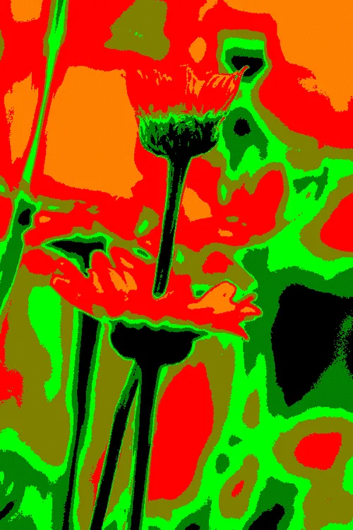 Item #95930744612989253264341458363878669706731092846429446161851758901491660750849 Media