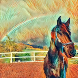 horse