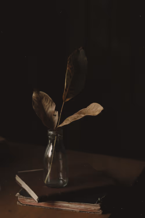 Item #114495732425891373745536168049683752920619799659036817548952625697436049866753 Media