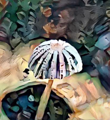 Item #98828088198769885069129805652987605738903563667474416042030428826911935299585 Media