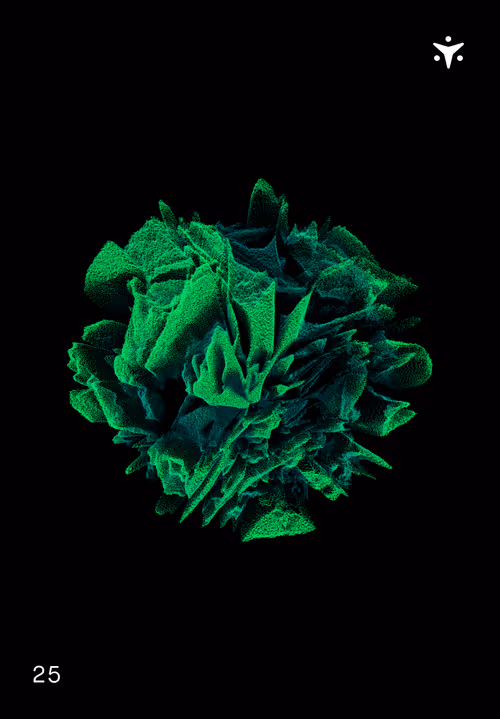 Item #30579750124061878473924884355833297327322833746354964518713563899307602477076 Media