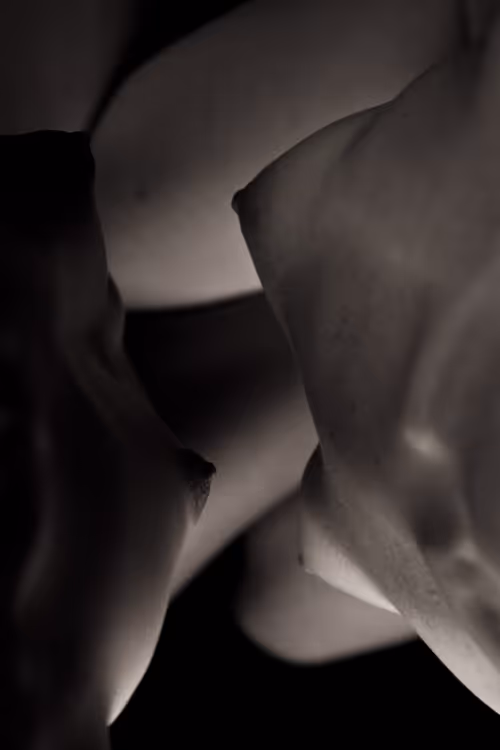 Item #32997355507838235832071597187323206581324723315395957158335053593774317895681 Media