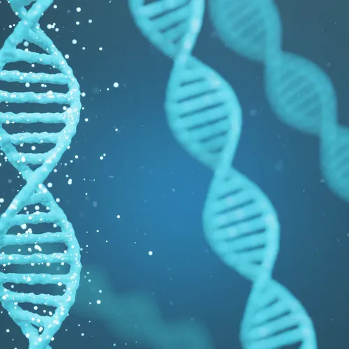 16354279799416602361054742505774446391766233292759088929253499040258081161315