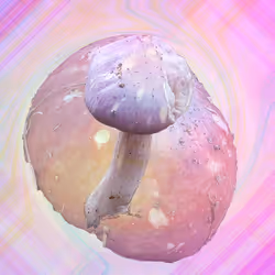 Psychedelic Light Purple Mushroom