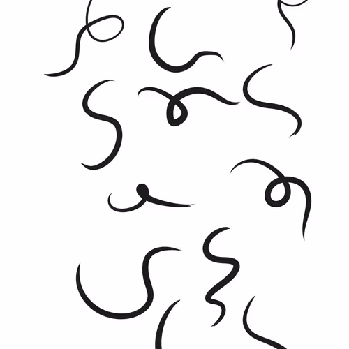 Crypto Pubes