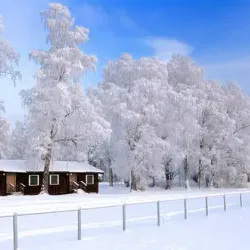 winter