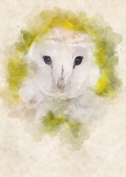 Item #15014501094177266764276721167416670682863278571620639160817117492765224075265 Media