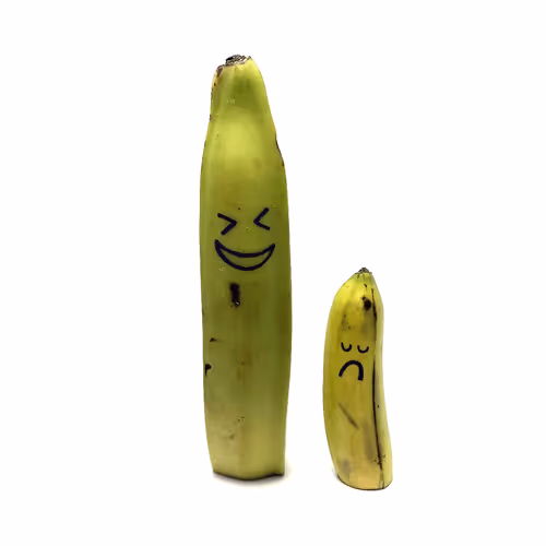 Banana A Day by gg Toy Company