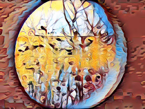 Item #68103433958729647441734292428991292973430553462390996571560802135105653964801 Media