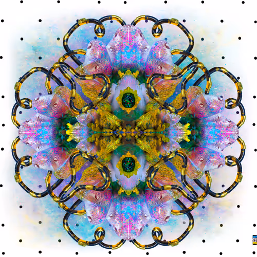 Item #66819198944340967802999770647966757568792449058162794451091882917593685688321 Media