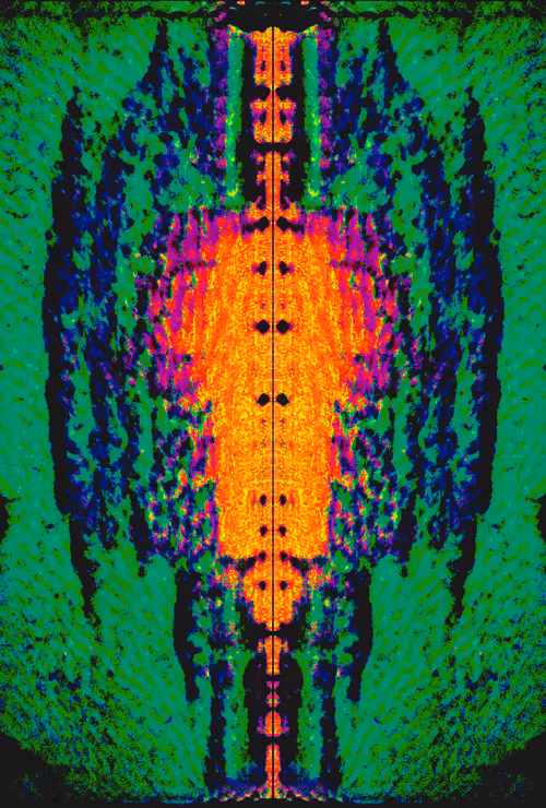 Item #58634798829663089795358456549022693013816106785285099454649778111176394145793 Media