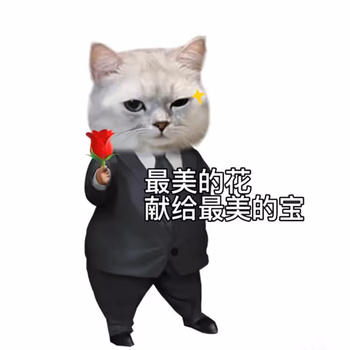 Eric1zhao Collection