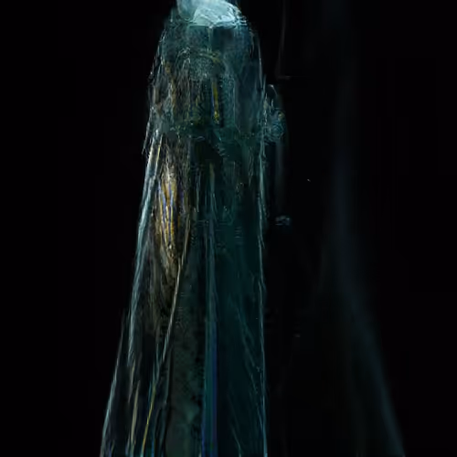 Item #81423580408588551200801073682850784470757564812203159627046902674692650303489 Media